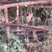 2009-05-Zaun