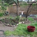 unser_garten2