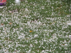 Hagel Hagel